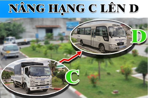 Lợi ích của việc nâng dấu C lên D